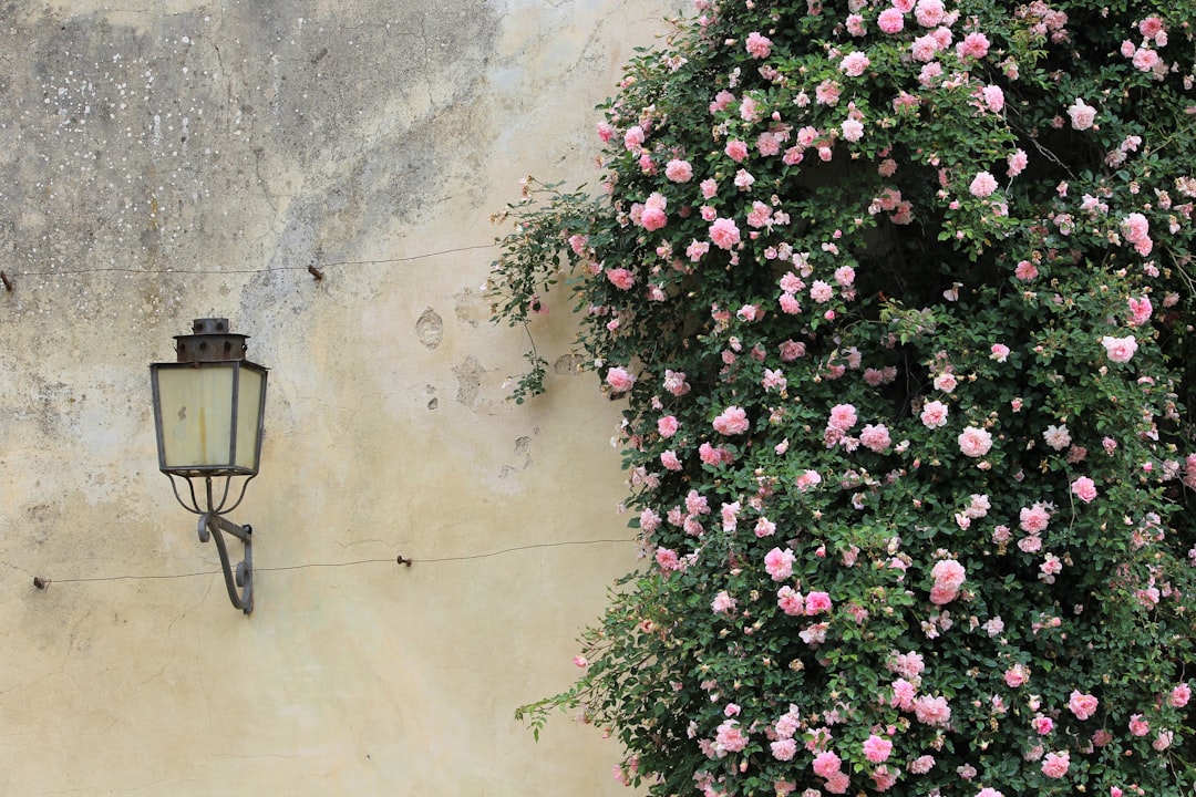 Photo Medieval Flower Wall Lamp