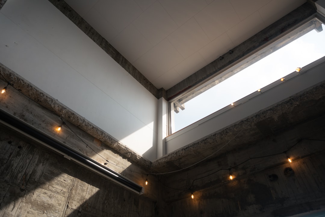 Photo loft bed lighting